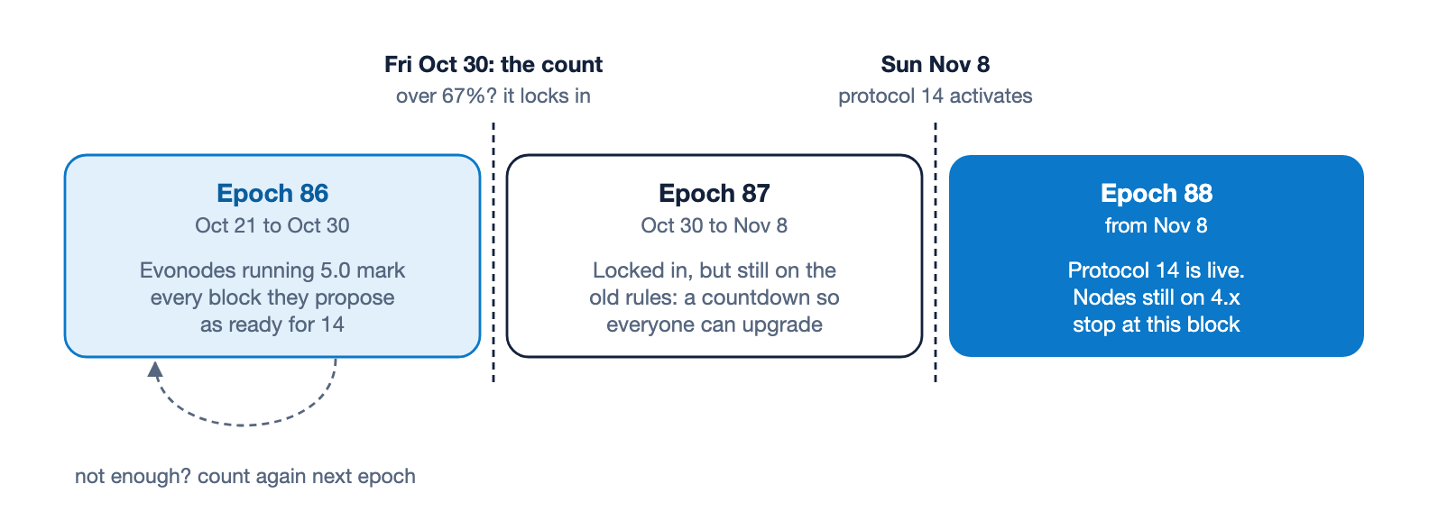 How protocol 14 activates on mainnet. During epoch 86, from October 21 to 30, evonodes running 5.0 mark every block they propose as ready for version 14. At the start of epoch 87 on October 30 the network counts: if more than 67% of evonodes signalled, the upgrade locks in; if not, it counts again at the next boundary. Epoch 87 is a countdown on the old rules. Protocol 14 goes live with the first block of epoch 88 on November 8, and nodes still on 4.x stop there.